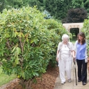 Sociology of Aging, Health, and Society